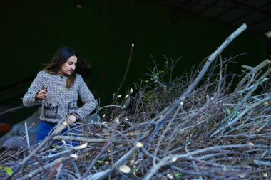 Kadın işlemden önce Laurel Körfezindeki şubeleri açık havada izliyor..