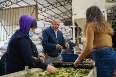 Laurel ile Birlikte Çalışan Geleneksel Herb İşlemci Kadın ve Erkek Çıkıyor.