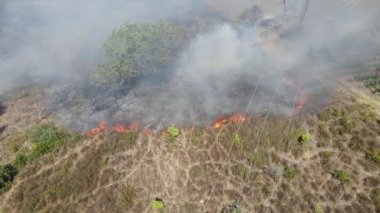 Suriye kıyısındaki ormanları kasıp kavuran orman yangınlarının insansız hava aracı görüntüleri. Şiddetli bir sıcak hava dalgası düzinelerce hektarlık ormanı yakıyor..