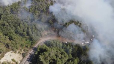 Suriye kıyısındaki ormanları kasıp kavuran orman yangınlarının insansız hava aracı görüntüleri. Şiddetli bir sıcak hava dalgası düzinelerce hektarlık ormanı yakıyor..