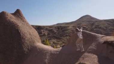 Kapadokya 'daki vadilerde kayalıklarda koşan genç mutlu kızın insansız hava aracı görüntüleri, Türk seyahat beldesi, seyahat tutkusu, tatil mutluluğu konsepti, beyaz elbise, yüksek kaliteli FullHD görüntüleri.