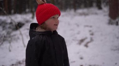 Dili dışarıda, kırmızı şapkalı, Avusturya ormanında gülümseyen tatlı küçük bir çocuk kar taneleri yakalıyor. Yüksek kalite 4k görüntü