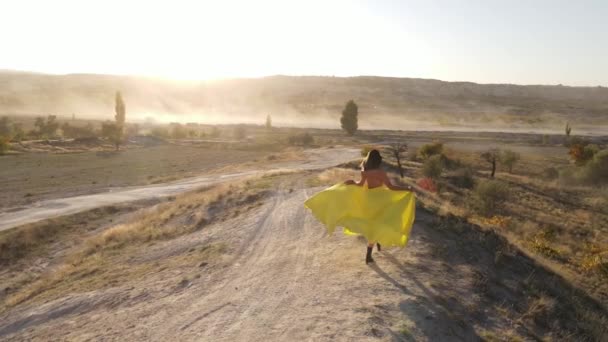 Drone Footage Back View Girl Walking Long Yellow Dress Mountains — Wideo stockowe