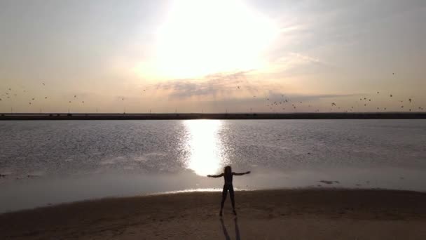 해변에서 운동을 활동적 선수의 공중에서 촬영되었습니다 질높은 Fullhd — 비디오