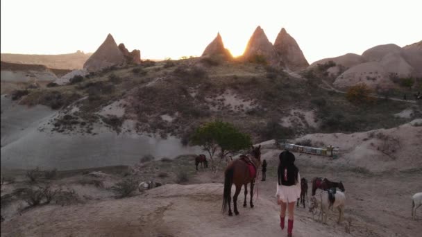 Meisje Paard Panoramisch Uitzicht Meisje Met Paard Cappadocië Drone Beelden — Stockvideo