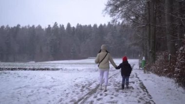 Girl with little brother are walking in forest, winter season, Austria park, snow day. High quality 4k footage