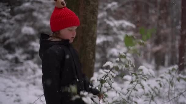 Siyah Ceketli Kırmızı Şapkalı Küçük Çocuk Karlı Ağaç Dalını Sallıyor — Stok video