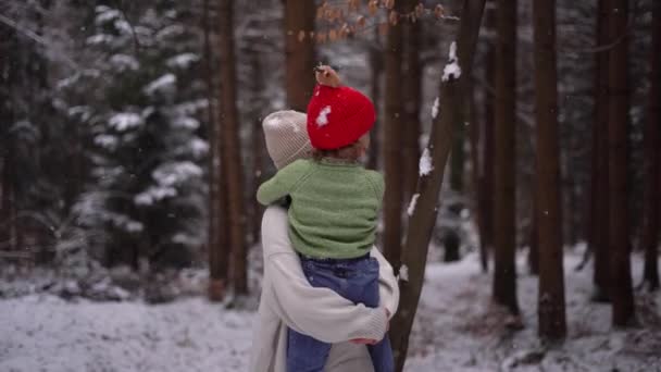 Cute Girl Little Boy Smiling Playin Winter Snow Forest Austria — Stock videók