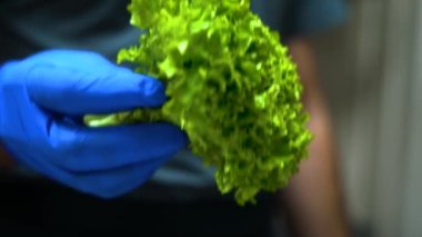 A hand in a blue glove puts a salad on a table. Close view. Slow-motion. High quality FullHD footage