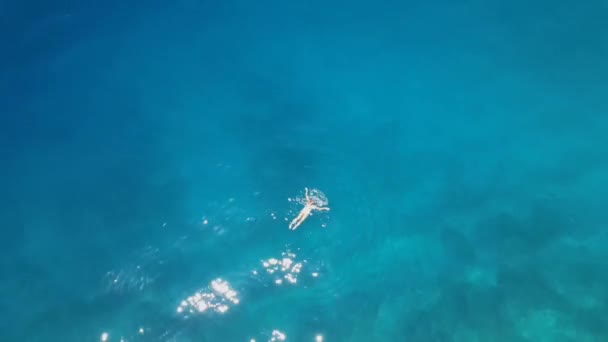 Aerial View Girl Swimming Mediterranean Sea High Quality Fullhd Footage — Stockvideo
