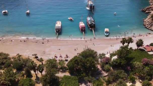 Vale Borboleta Mar Mediterrâneo Turquia Imagens Fullhd Alta Qualidade — Vídeo de Stock