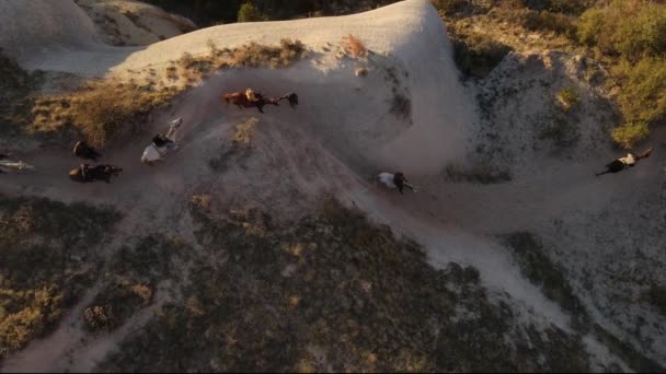 カッパドキアで馬に乗っている人々のドローン映像 神の目で映像を見る パノラマの夕日の景色 高品質のフルHdドローン映像 — ストック動画