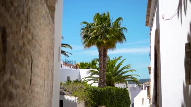 Kilátás Palms Sikátorból Ibiza Régi Város Trave Resort Felvételek Kiváló — Stock videók