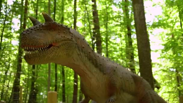 Tentoonstelling Van Bewegende Modellen Mechanische Sculptuur Dinosaurus Dinopark Hoge Kwaliteit — Stockvideo