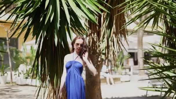 Girl Blue Dress Walks Palm Alley Bright Sunny Day High — Stock Video