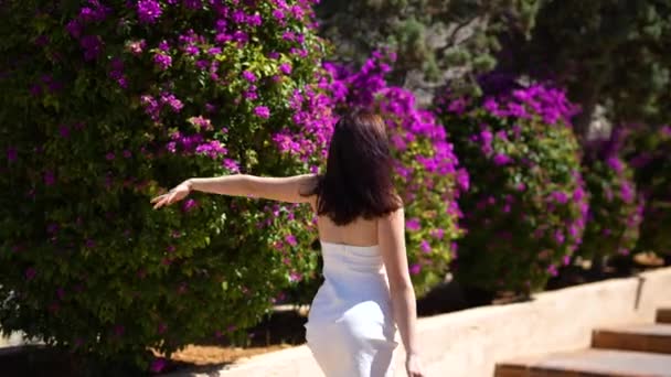 Chica Vestido Blanco Está Caminando Cerca Los Arbustos Flores Complejo — Vídeo de stock
