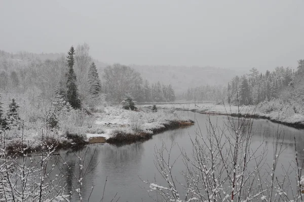 Paesaggio Invernale Che Mostra Sua Coperta Bianca Alberi Fiume Con — Foto Stock