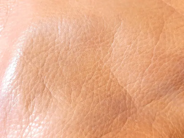 Elit kahverengi parlak, değerli deri. Arkaplan tasarımı, fotoğrafçılık. Tekstil, kumaş şablonu, modern 