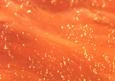 Ayrıntılı olarak domuz eti. Mikroskop altında görüntü, mikro fotoğrafçılık. Bilim, eğitim ve eğitim. Çoklu yakınlaştırma, yakın çekim. Yeni bilimsel fotoğrafçılık