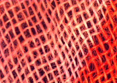 Parlak kırmızı örgü ipliği, desen, kumaş parçası, tekstil. Mikroskop altında görüntü, mikro fotoğrafçılık. Bilim, eğitim ve eğitim. Çoklu yakınlaştırma, yakın çekim. Yeni bilimsel fotoğrafçılık