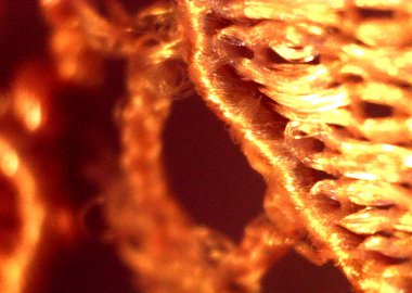 Kumaş parçası, detaylı tekstil. Görüntü mikroskop altında, mikro fotoğrafçılık.