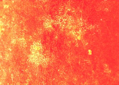 Elma, meyve, yemek. Mikroskop altında görüntü, mikro fotoğrafçılık. Bilim, eğitim ve eğitim. Çoklu yakınlaştırma, yakın çekim. Yeni bilimsel fotoğrafçılık