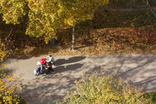 Two women with strollers walk on an autumn day. Aerial View