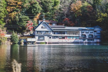 Güzel kırmızı akçaağaç yaprakları Kinrinko gölünde, oita, Japonya, sonbahar güneşli gününde