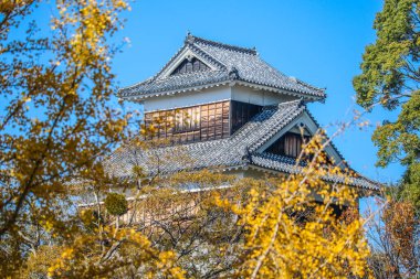 Kumamoto Şatosu, Japonya 'nın en etkileyici kalelerinden biri..
