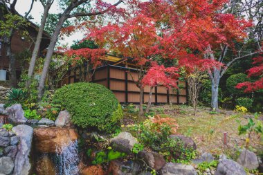 The garden in Umi Jigoku or sea hell featuring a pond with blue hot stream water. clipart