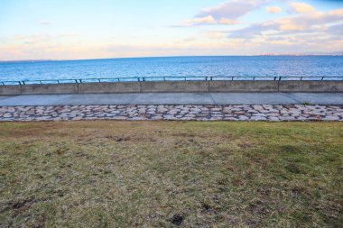 Huzurlu Sahil Gezintisi Sakin Okyanus Dalgalarına Bakar