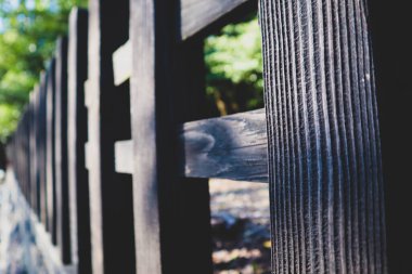 Parktaki çit boyanmamış tahtalardan yapılmış ve ahşap şapkalarla çivilenmiş.