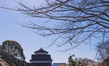 Kumamoto Kalesi Açık Mavi Gökyüzünün Altında Uzun Duruyor