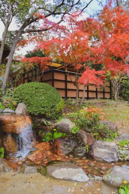 Umi Jigoku 'daki bahçe ya da içinde sıcak su bulunan bir gölet..