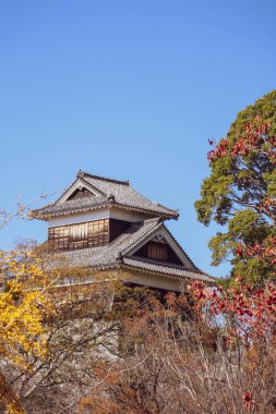 Kumamoto Şatosu, Japonya 'nın en etkileyici kalelerinden biri..