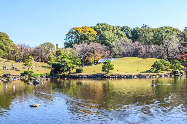 Açık bir sonbahar gününde Japon bahçesinin manzarası.