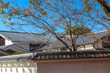 Geleneksel Japon Mimarisinin Huzurlu Sonbahar Sahnesi