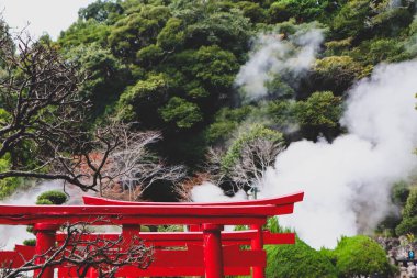 Jeotermal Faaliyetli Gizemli Japon Ormanı