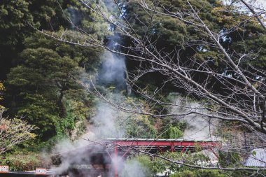 Doğanın Ortasında Onsen 'den Manzaralı Buhar Yükseliyor