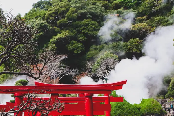 Jeotermal Faaliyetli Gizemli Japon Ormanı