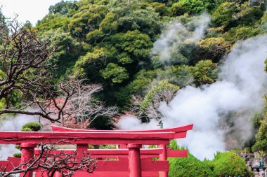 Jeotermal Faaliyetli Gizemli Japon Ormanı
