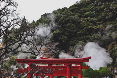 Jeotermal Faaliyetli Gizemli Japon Ormanı