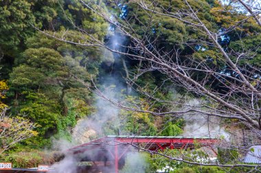 Çevresi yemyeşil ağaçlarla çevrili Doğal Jeotermal Alanı Ziyaret Eden Turistler