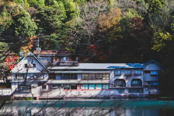 Güzel kırmızı akçaağaç yaprakları Kinrinko gölünde, oita, Japonya, sonbahar güneşli gününde