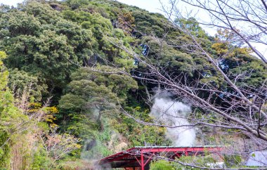 Doğanın Ortasında Onsen 'den Manzaralı Buhar Yükseliyor