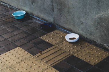 Halka açık kaldırımda plastik kase kedi maması.