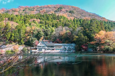 Güzel kırmızı akçaağaç yaprakları Kinrinko gölünde, oita, Japonya, sonbahar güneşli gününde