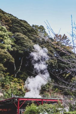Doğanın Ortasında Onsen 'den Manzaralı Buhar Yükseliyor