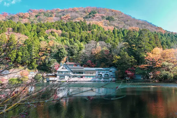 Güzel kırmızı akçaağaç yaprakları Kinrinko gölünde, oita, Japonya, sonbahar güneşli gününde