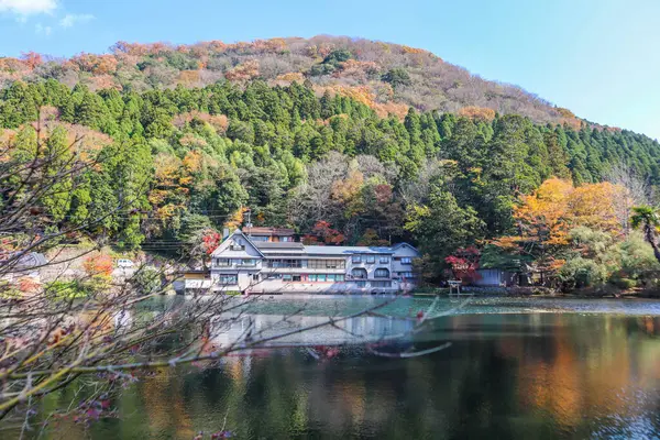 Güzel kırmızı akçaağaç yaprakları Kinrinko gölünde, oita, Japonya, sonbahar güneşli gününde